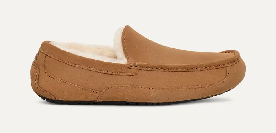 Men Ascot Chestnut