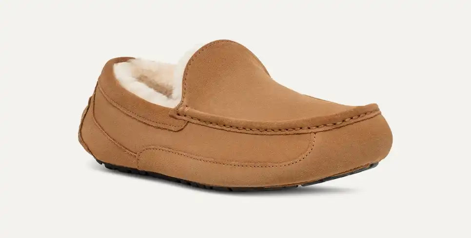Men Ascot Chestnut