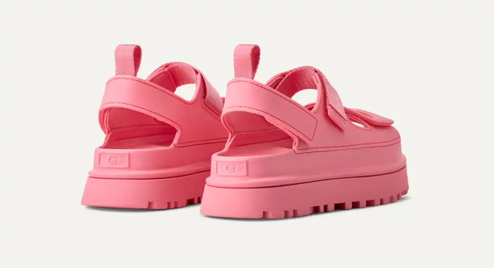 W Goldenglow in Tropical Pink