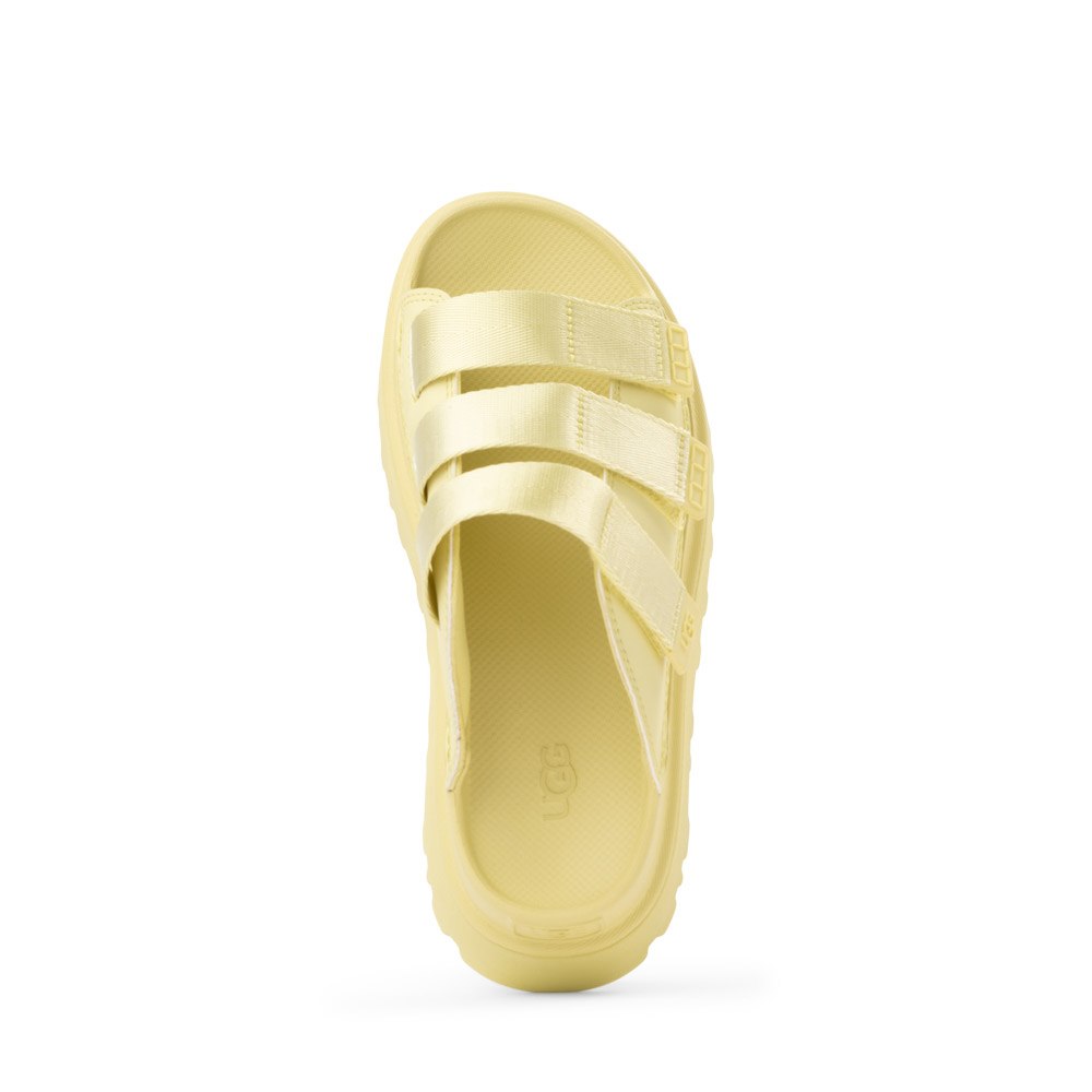 Goldenglow Slide W Golden Apple