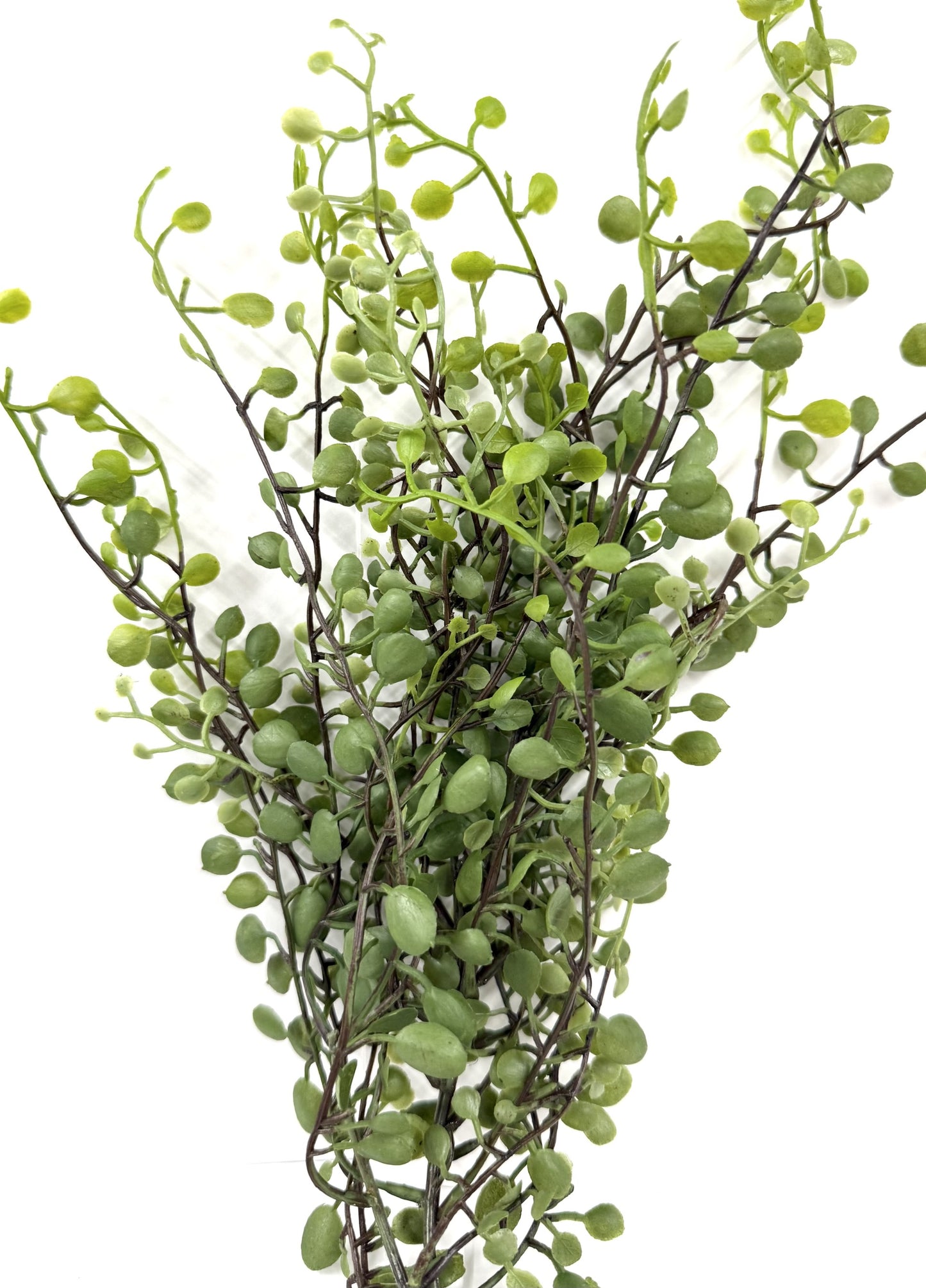 Plastic Baby Tear Pick 16"