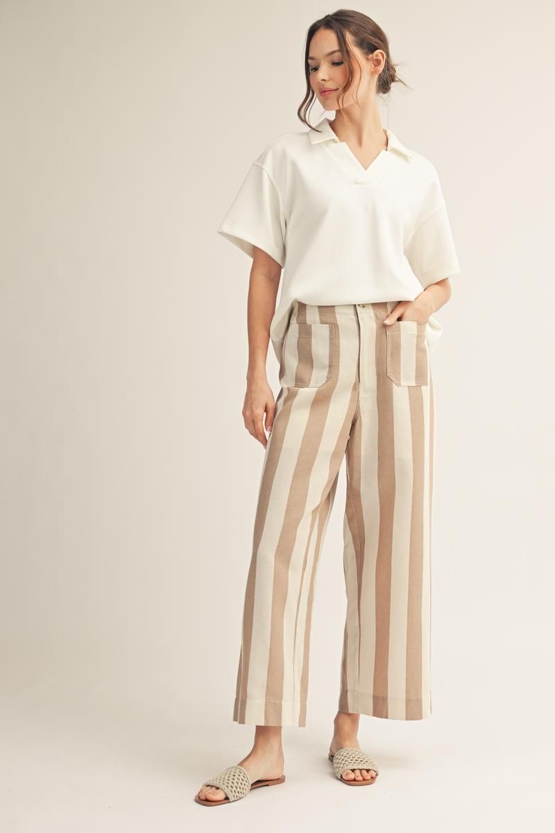 Wide Leg Bold Stripe Pants in Taupe