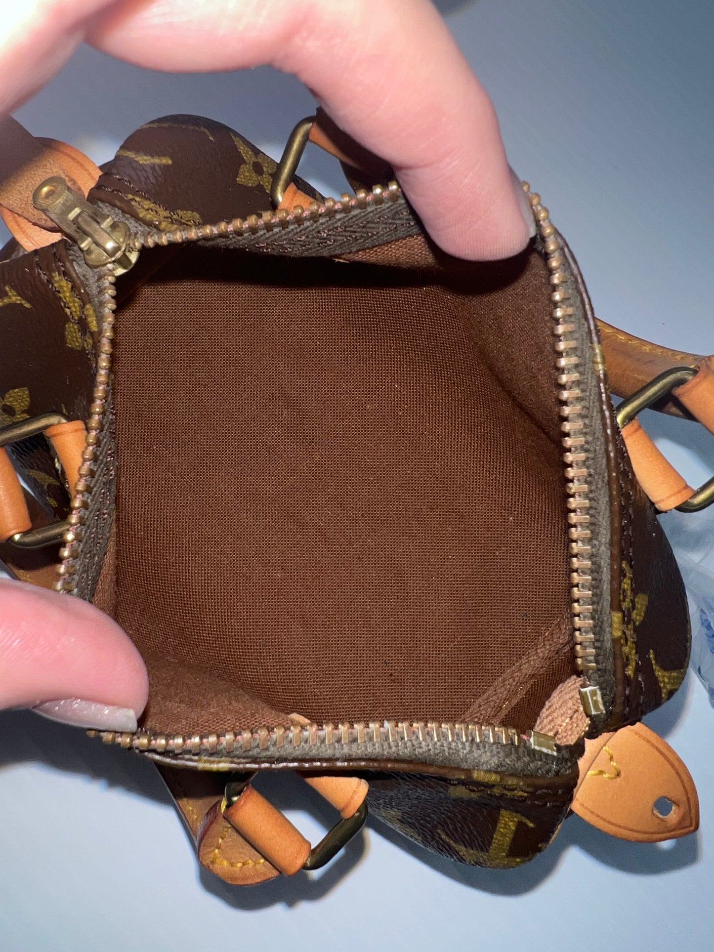 Pre-Loved Louis Vuitton Monogram Speedy Nano