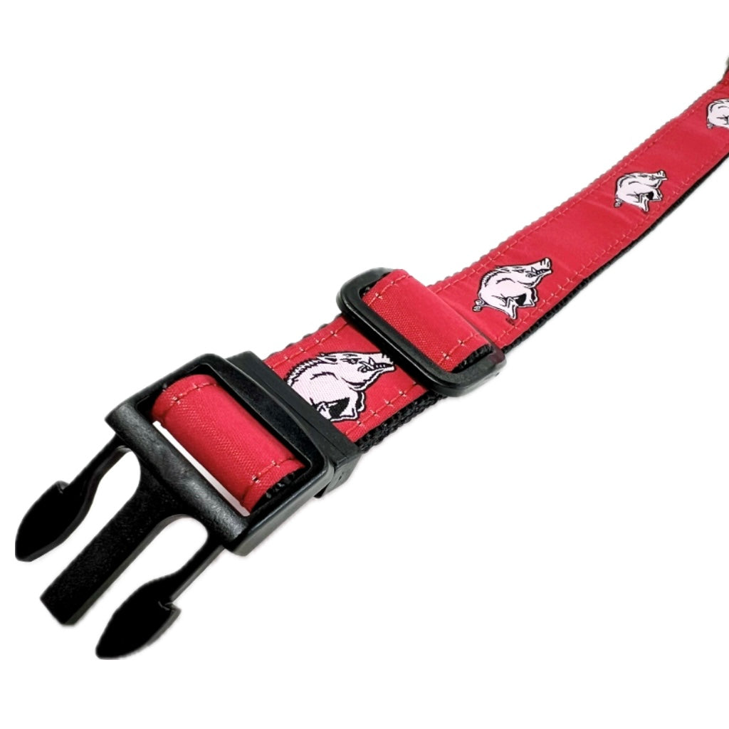 Razorback Dog Collar