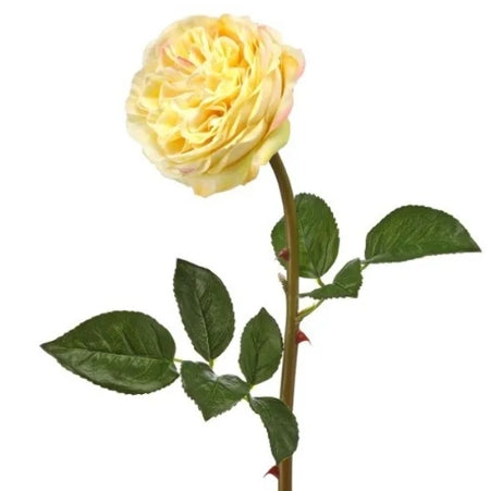 Real-Touch Just Cut English Rose 22"