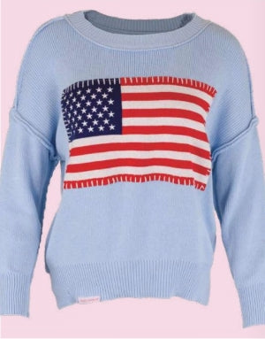 USA Sweater in Powder Blue
