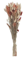 Dried Natural Bunny Tail Grass Bunch