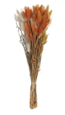 Dried Natural Bunny Tail Grass Bunch