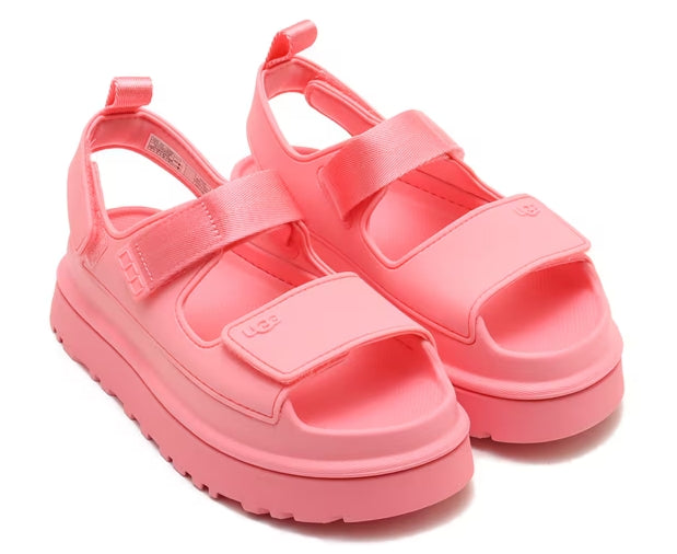 W Goldenglow in Tropical Pink