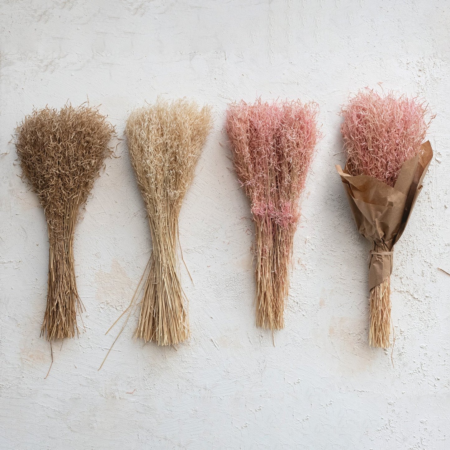 Dried Natural Powderpuff Grass Bunch
