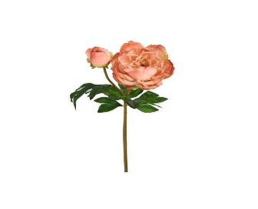 Real-Touch Just Cut Garden Peony & Bud 25"