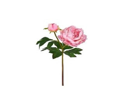 Real-Touch Just Cut Garden Peony & Bud 25"
