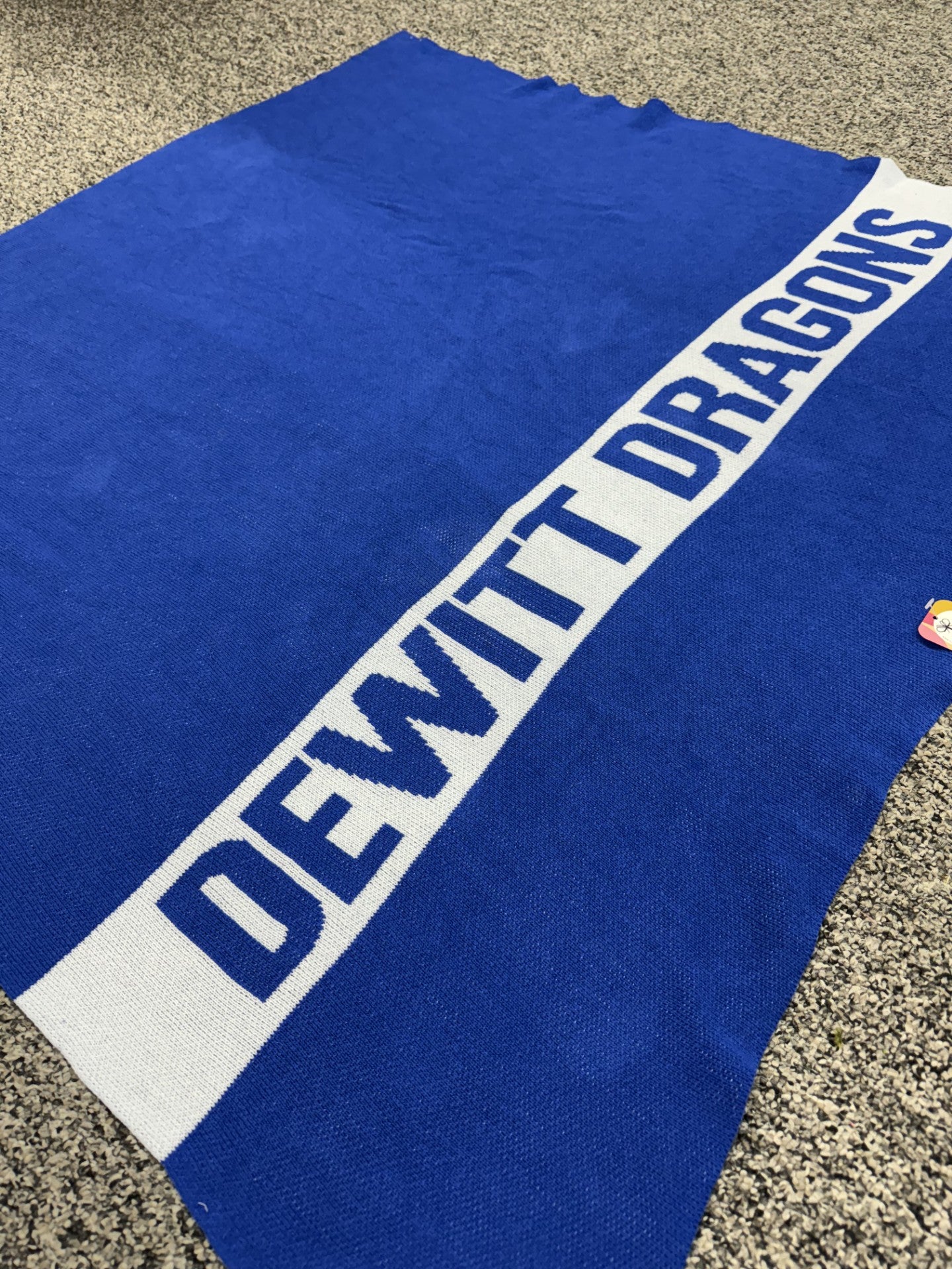 DeWitt Dragons Knit Throw