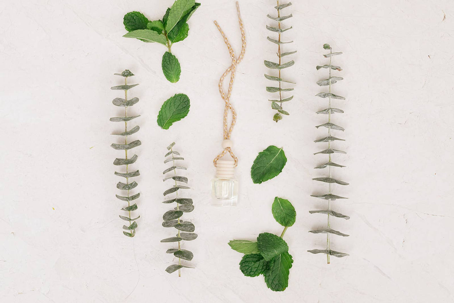 Eucalyptus Mint Car Diffuser – Clean, Fresh & Uplifting