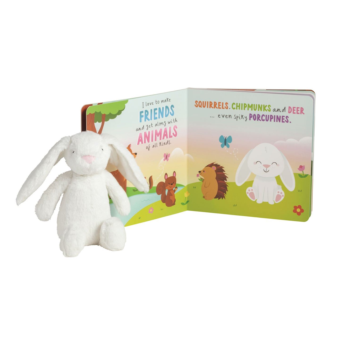 Day In The Life Of Sunny The Bunny Book & Plush Set