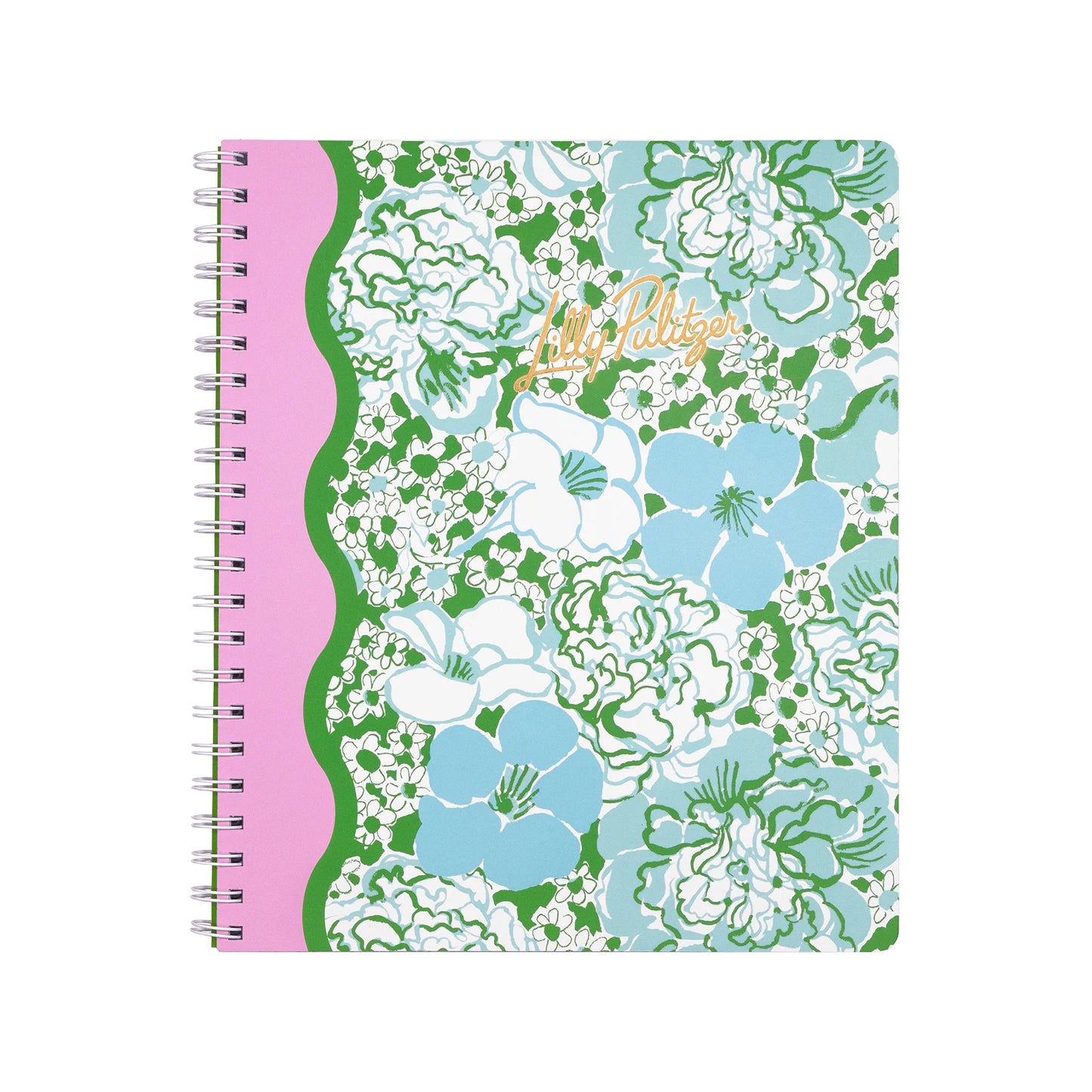 Large Notebook in Mint Condition Burst of Joy