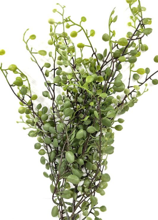 Plastic Baby Tear Pick 16"