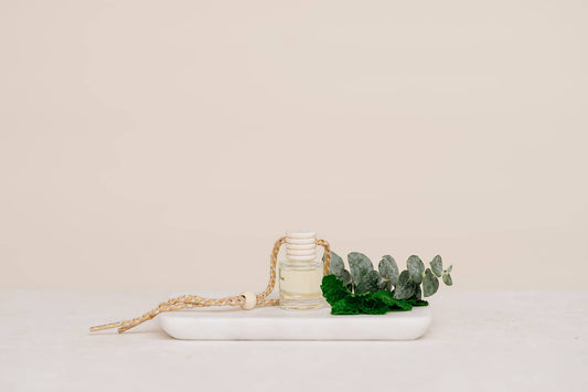 Eucalyptus Mint Car Diffuser – Clean, Fresh & Uplifting