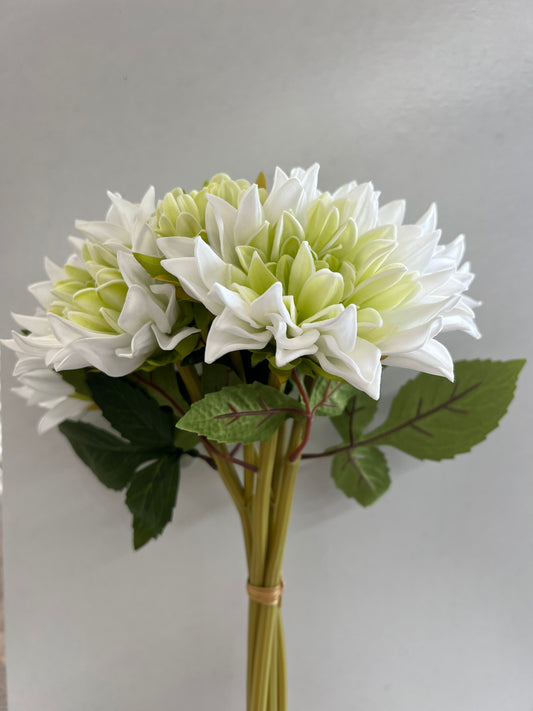 Summer Dahlia Bundle White/Green