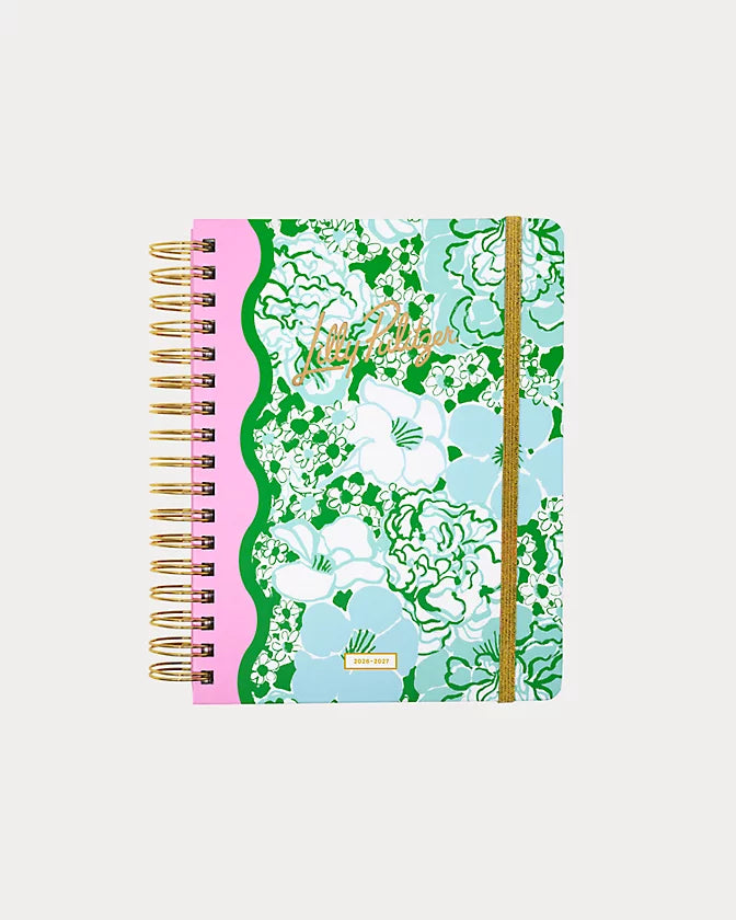 Large 17 Month Agenda, Mint Condition Burst Of Joy