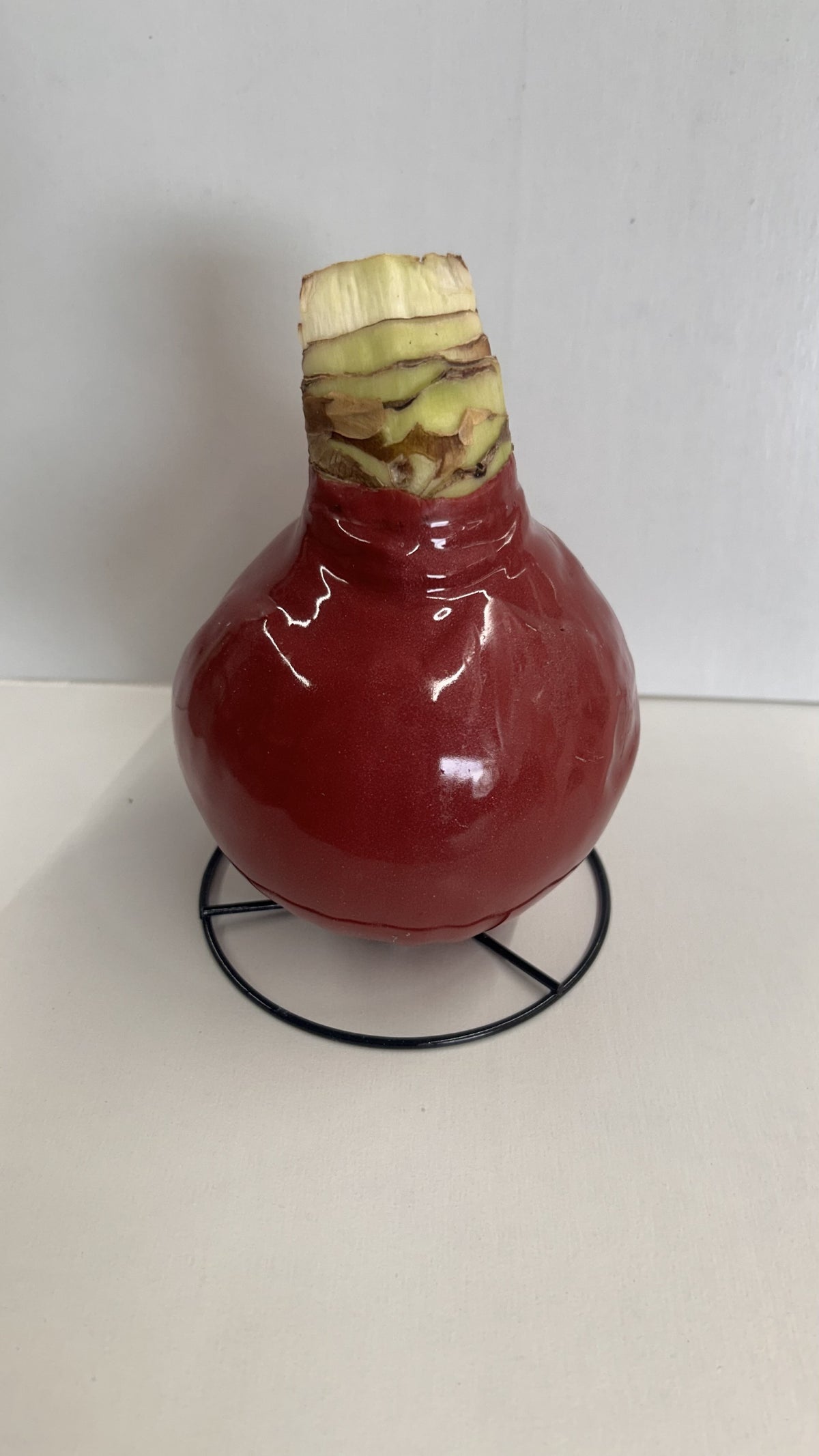 White Flower Cranberry Lacquer Bulb