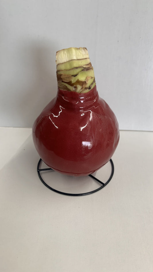 White Flower Cranberry Lacquer Bulb