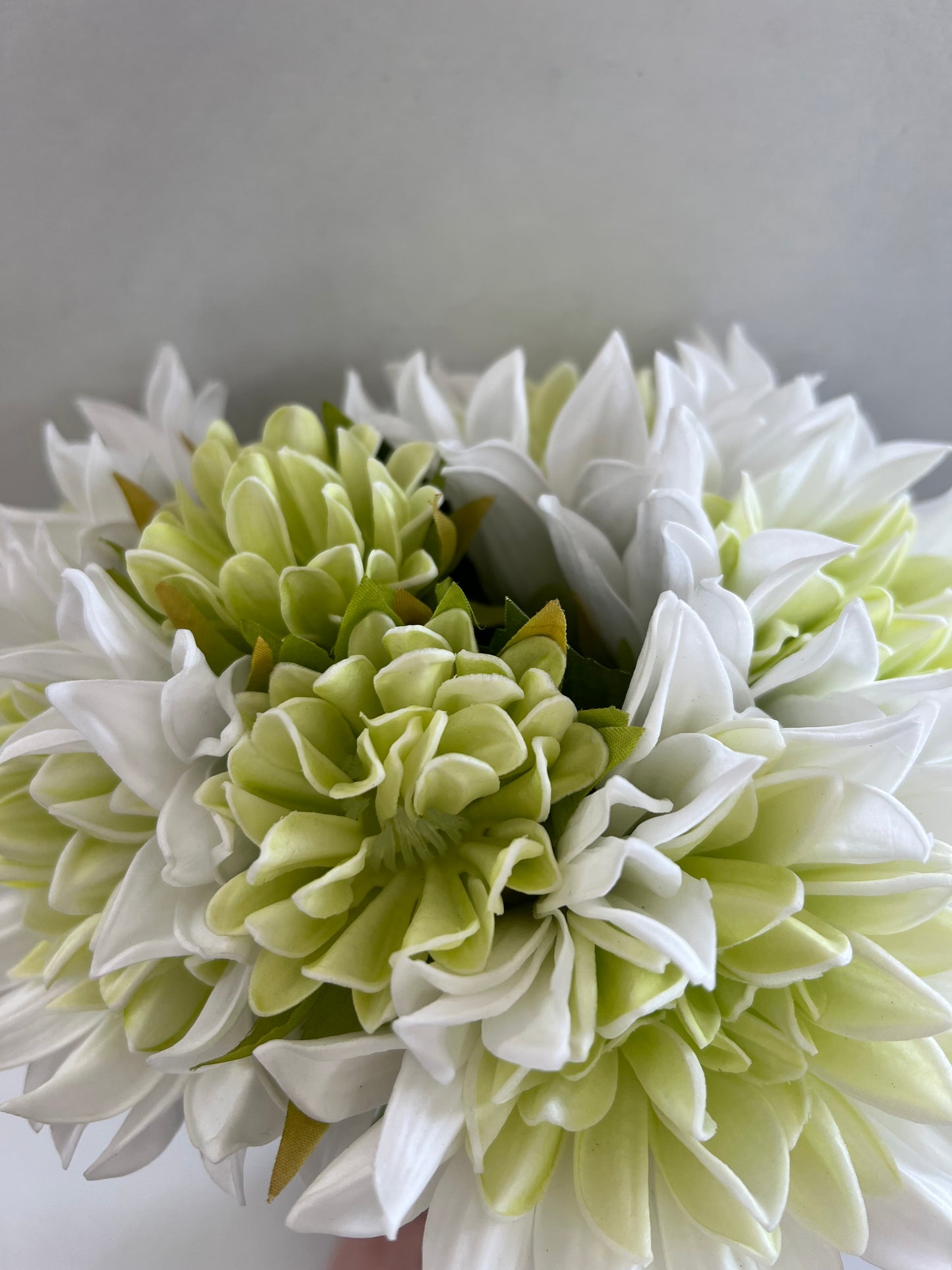 Summer Dahlia Bundle White/Green