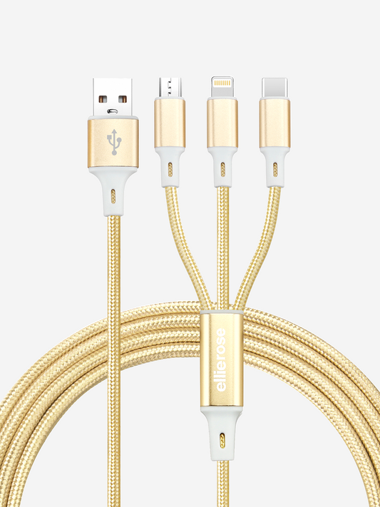 10ft Extra Long Charger in Gold