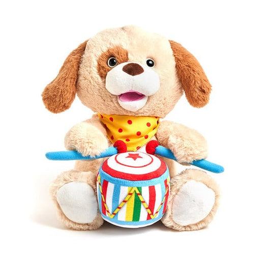 Drummin' Paxton Puppy