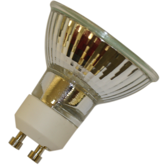 NP1 Replacement Bulb