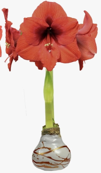 Sovereign Flower White Wax Copper Lacquer Splatter