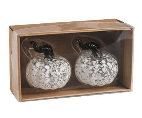 White Pumpkin Salt & Pepper Set