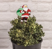 Christmas Plant Glass Stakes
