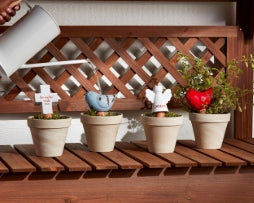 Garden Watering Stakes