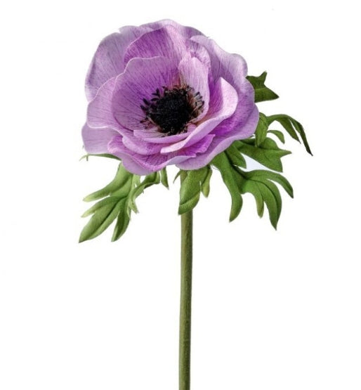 Just Cut Anemone 22"