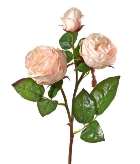 Just Cut Floribunda Rose 22"