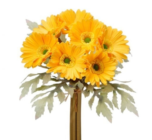 Foam Gerbera Daisy Bundle