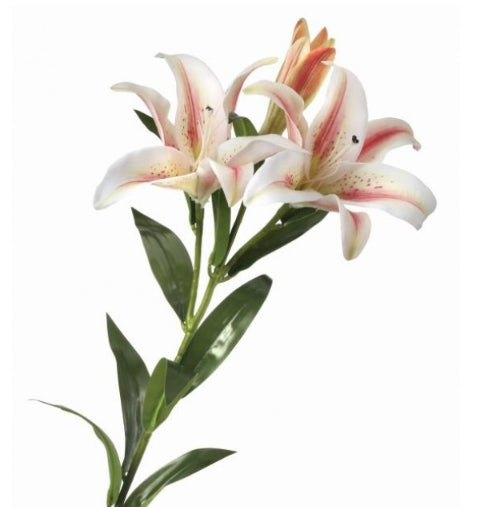 Natural Touch Lily + Bud 34"