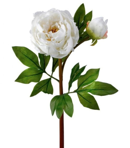Real-Touch Just Cut Garden Peony & Bud 25"