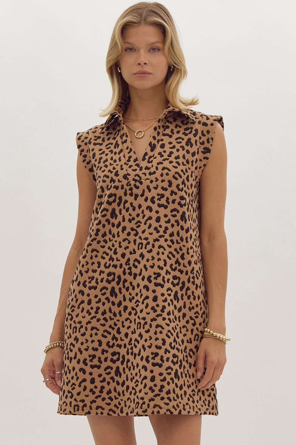 Leopard Vneck Dress