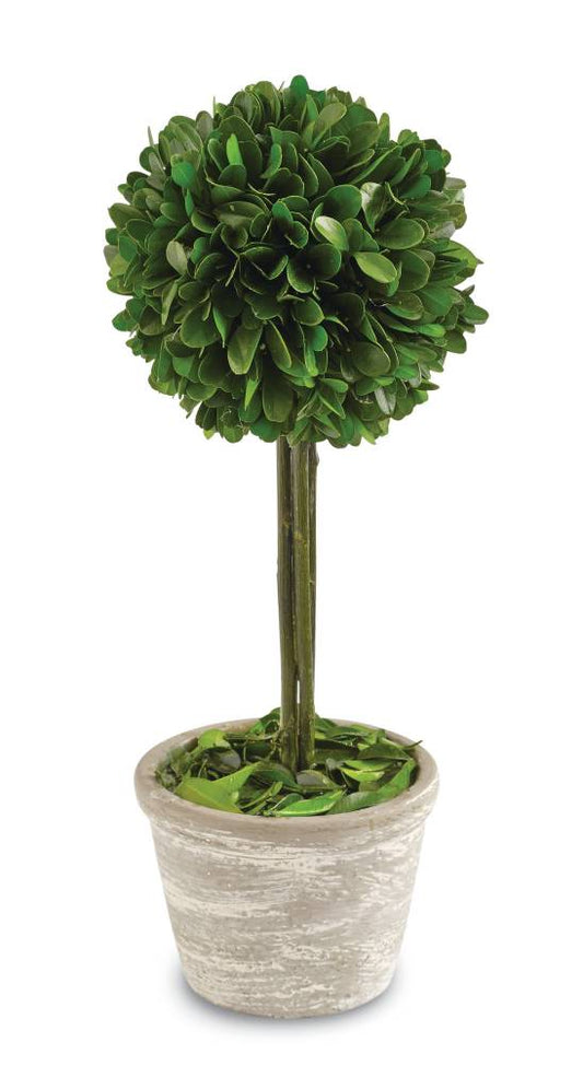 Boxwood Topiary