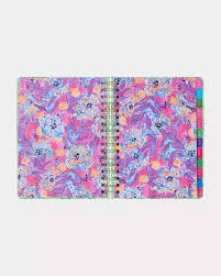 Large 17 Month Agenda Catchin Rays
