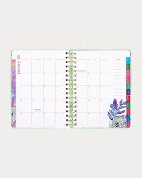 Large 17 Month Agenda Catchin Rays