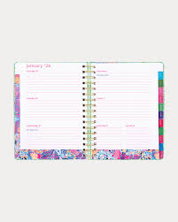 Large 17 Month Agenda Catchin Rays