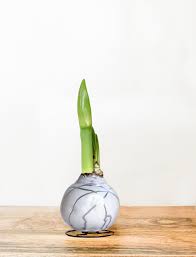 Revelation Flower With White Wax Silver Splatter