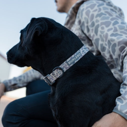Dog Collar Classic Deer Camo